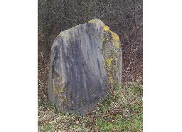 Menhir Nellenburg