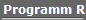 Programm Ritual
