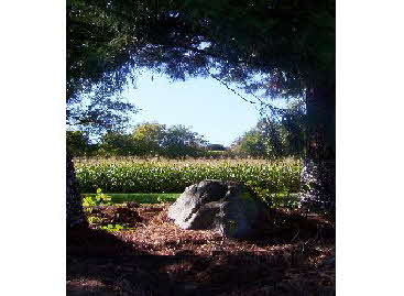 Menhir Bohlingen