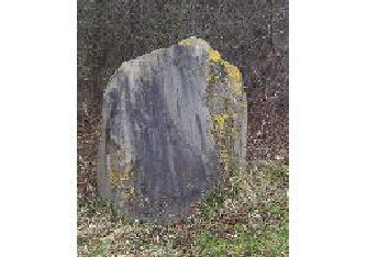 Menhir Nellenburg